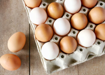 بورصة الحمامي لـ"قلم بيطري": استقرار فى أسعار البيض الفترة المقبلة