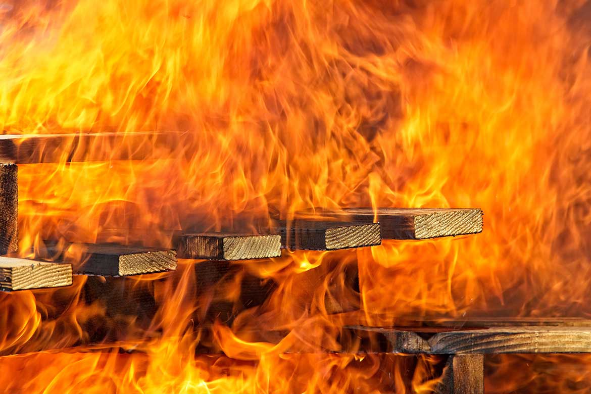 نفوق 15 رأس ماشية إثر اندلاع حريق هائل في أسيوط