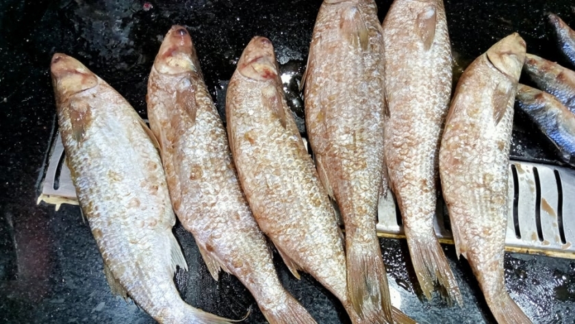 "بيطري كفر الشيخ" يوضح في 4 خطوات كيف تحمي نفسك من تناول الأسماك الفاسدة