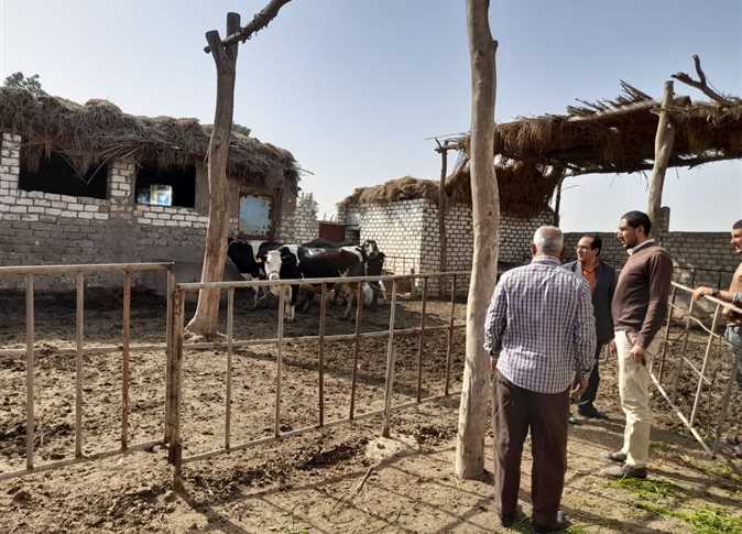 بيطرى شمال سيناء: تحصين 60 ألفا من رؤوس الماشية