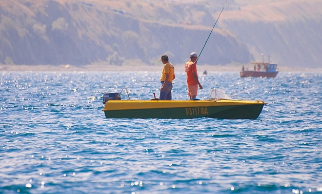 الثروة السمكية: حظر الصيد في البحر الأحمر 5 أشهر اعتبارا من مايو
