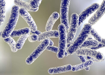 مرض الليجونيلا وكيفية الاحتماء منه