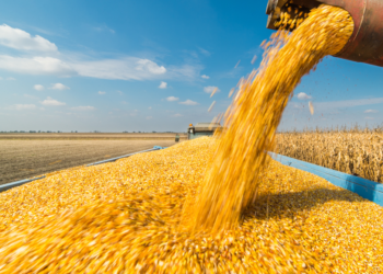 خاص| العدل للأعلاف: انضمام مصر لـ"البريكس" سيخفف من الضغط على الدولار ويحدث انفراجة