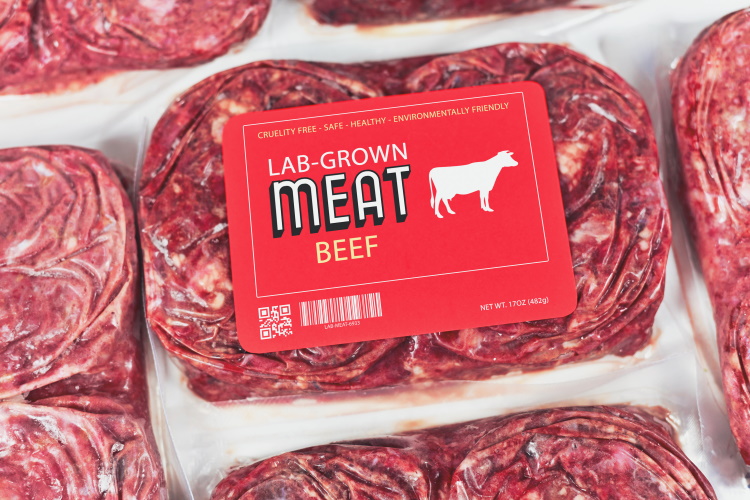 إيطاليا تصدر قرار بحظر بيع وإنتاج واستيراد اللحوم المستنبتة