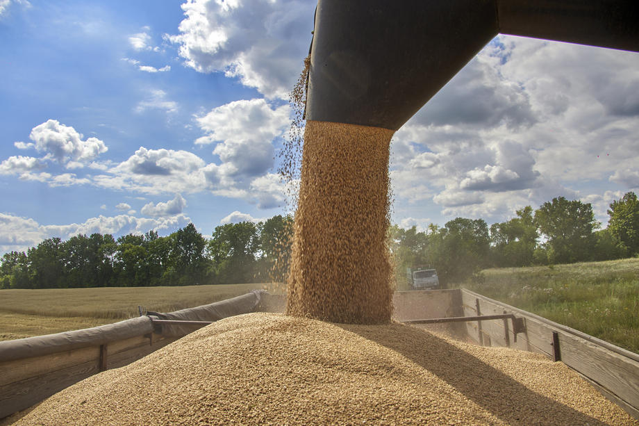 المجر وبولندا تعلنان حظر استيراد الحبوب الزراعية من أوكرانيا