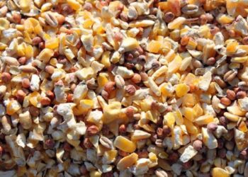 عمرو عبد الحميد يكشف لـ”قلم بيطري” أسباب ارتفاع اسعار خامات الأعلاف: تعويم الجنيه