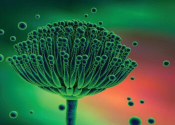 مرض الرشاشيات (الاسبراجلوزيس)