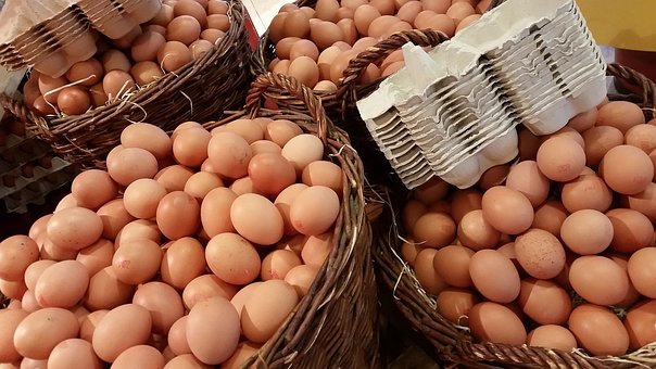 تعرض منتجي البيض للإفلاس بسبب ارتفاع أسعار الأعلاف