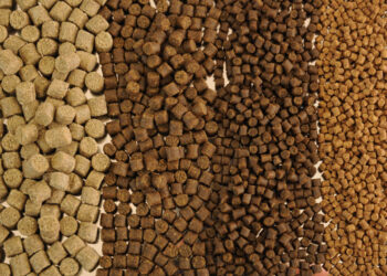 عن أعلاف الأسماك.. أكوا جرين: استقرار الأسعار يسيطر على المشهد العام الفترة المقبلة