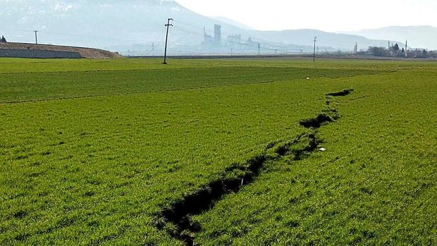 الفاو: تلف محاصيل ونفوق الحيوانات بسبب نقص الأعلاف جراء الزلزال في تركيا