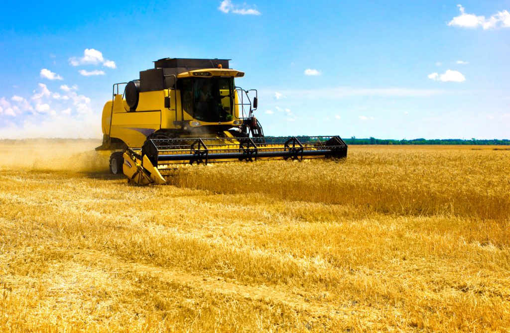 "كوناب" ترفع توقعاتها بشأن إنتاج محصول الذرة وفول الصويا في البرازيل