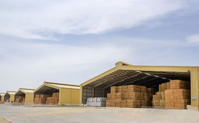 الإمارات| هيئة أبوظبي للزراعة تطلق «سوق الأعلاف» الأول من نوعه والأكبر في الشرق الأوسط