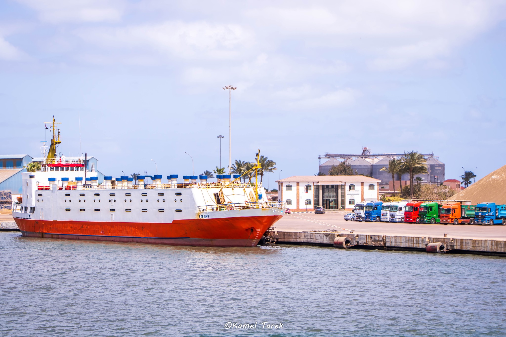 ميناء دمياط يستقبل 7500 طن كسب صويا و 13626 طن ذرة و 1873 رأس ماشية