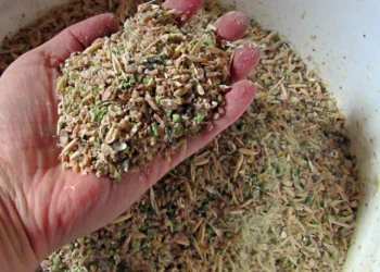 أستاذ تغذية حيوان يوضح لـ"قلم بيطري" أهم بدائل الأعلاف التى يمكن استخدامها في الصناعة