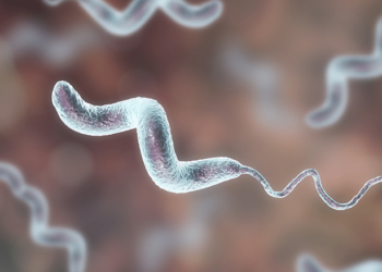 الأهمية الصحية لميكروب الكامبيلوباكتر في اللحوم ومنتجاتها