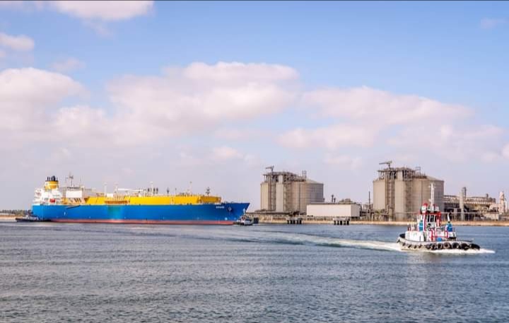ميناء دمياط يستقبل 3653 طن صويا و 11584 طن ذرة خلال 24 ساعة