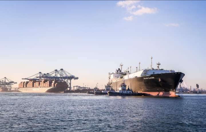 ميناء دمياط يستقبل 5000 طن ذرة و 1260 طن كسب صويا و 1900 رأس ماشية خلال 24 ساعة