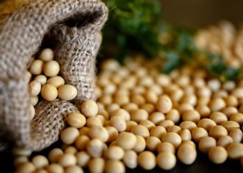 الاتحاد الأوروبي: خفض واردات فول الصويا 12% خلال الموسم الحالي