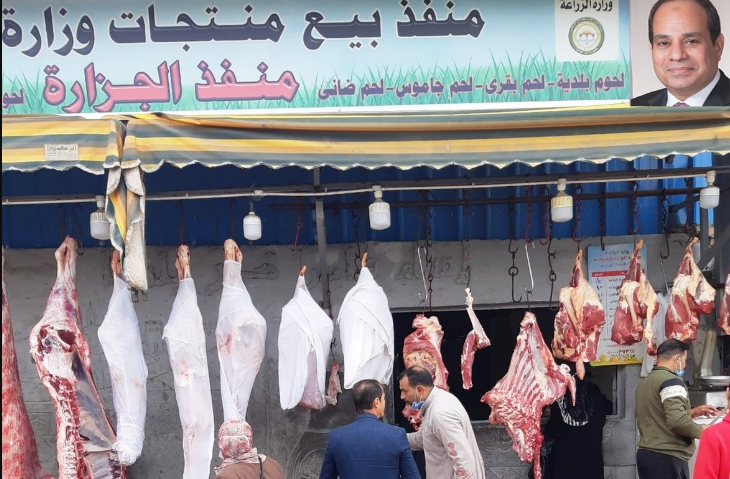 الزراعة: إنتاج مصر من اللحوم الحمراء يكفي بنسبة 60%.. وكيلو اللحم البلدي القائم في منافذنا بـ140 جنيهًا