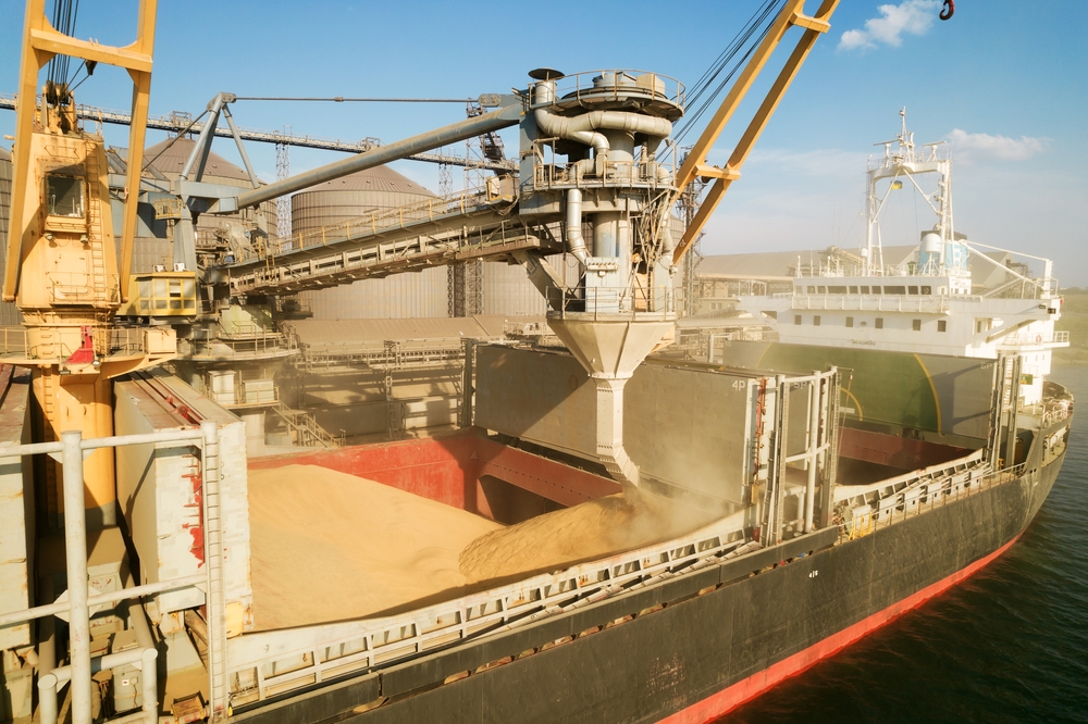 ميناء الإسكندرية يستقبل اليوم 13405 طن من الذرة الأوكرانية لصالح القطاع الخاص