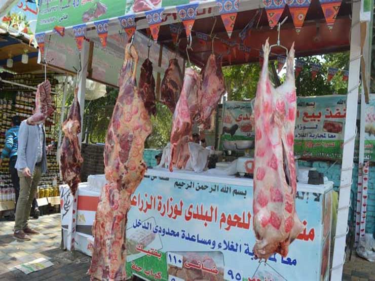 عناوين وأماكن منافذ وزارة الزراعة لشراء الأضاحي واللحوم الحمراء