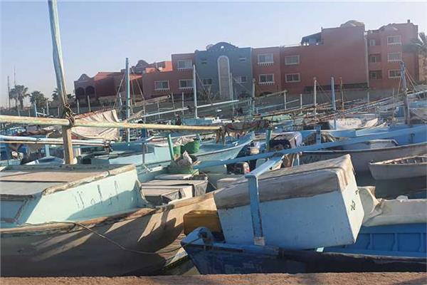 الثروة السمكية: وقف عمل مراكب الصيد بالبحر الأحمر في المنطقة الجنوبية بدءا من اليوم