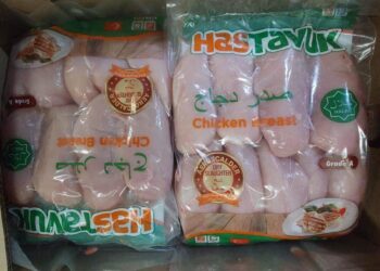 منتجي الدواجن