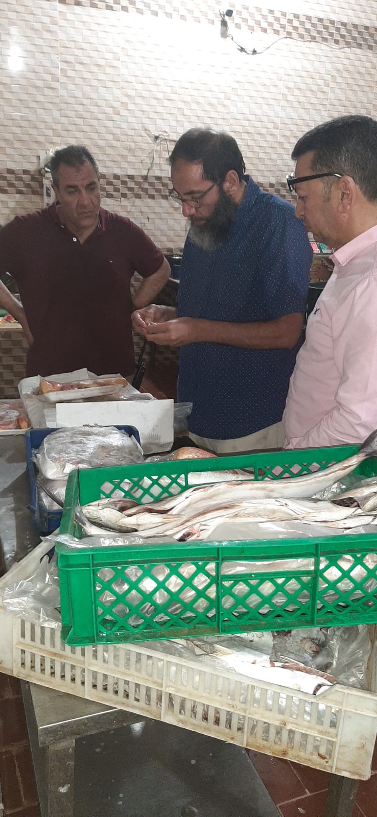 التحفظ على 4740 كيلو أسماك منتهية الصلاحية بجنوب سيناء