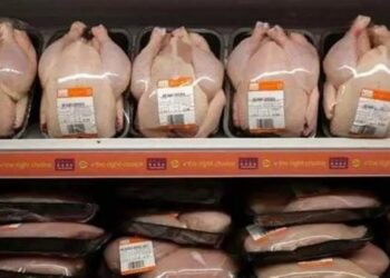 متحدث التموين: طرح 600 طن من أوراك وصدور الدواجن في المجمعات الاستهلاكية بأسعار تنافسية