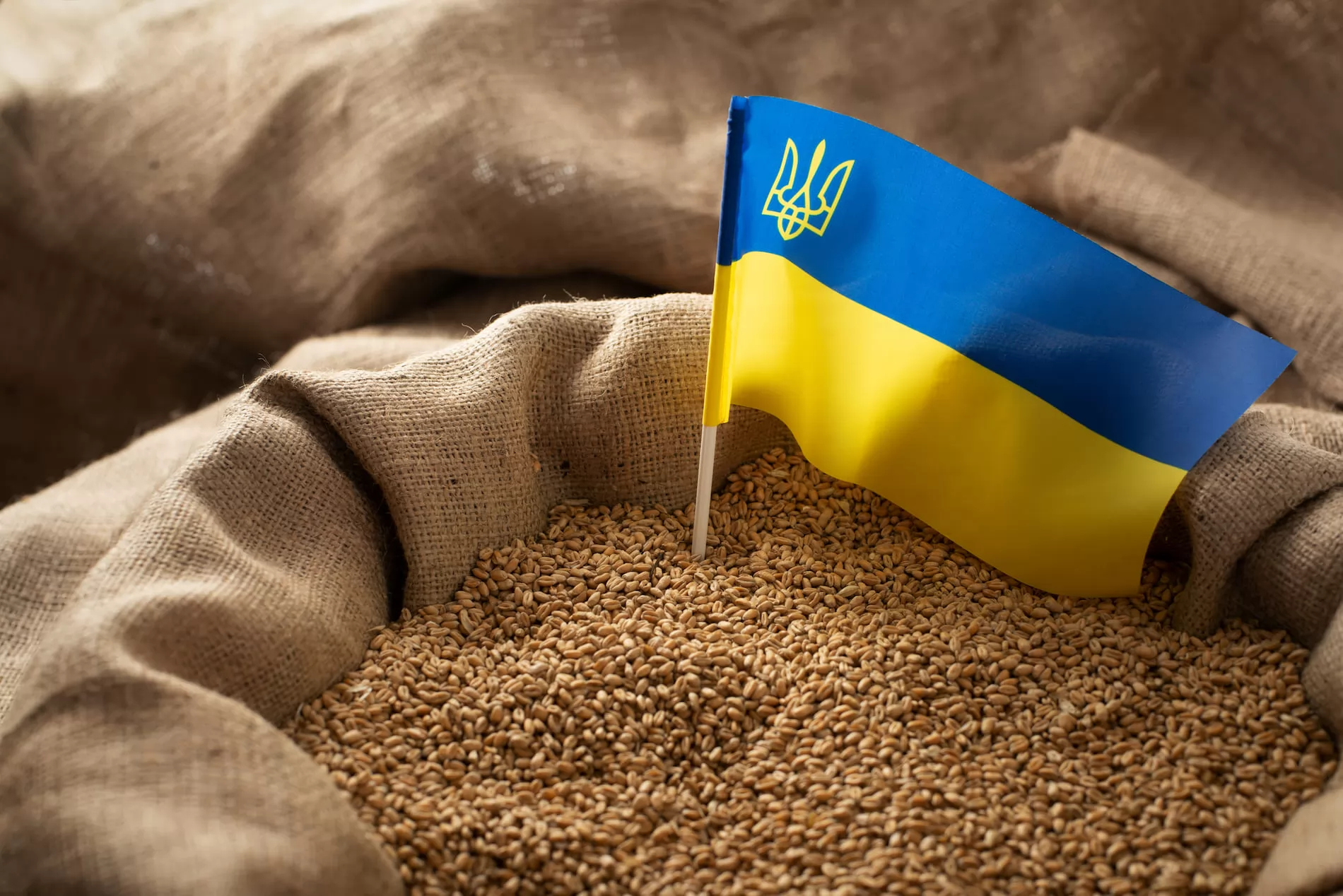 صادرات أوكرانيا من الحبوب تسجل 48.4 مليون طن حتى الآن خلال الموسم الجاري