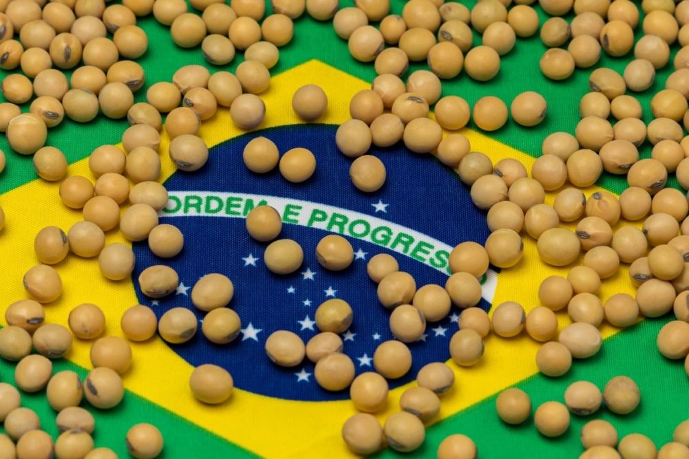 صادرات البرازيل من فول الصويا تسجل 4.6 مليون طن في أول أسبوعين من يونيو