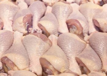 خاص| لماذا أوقفت مصر شحنات الدواجن المجزأة المستوردة.. المهندس أحمد رمزي يُجيب!