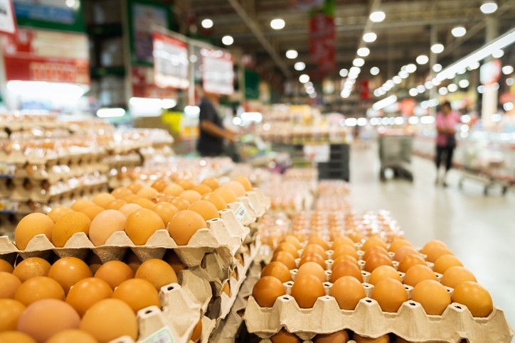 شعبة الدواجن حول ارتفاع أسعار البيض خلال الأسبوع الماضي: الأعلاف هي المعيار