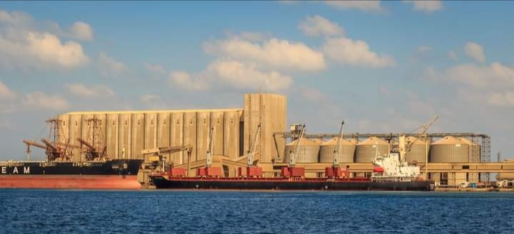 ميناء دمياط يستقبل 9000 طن ذرة و6236 طن من فول الصويا ومشتقاته خلال 24 ساعة
