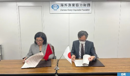 اليابان تدعم مشاريع الاستزراع السمكي في المغرب