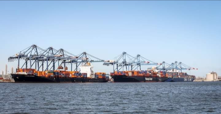 ميناء دمياط يستقبل 4550 طن ذرة و783 من فول الصويا ومشتقاته و 3249 رأس ماشية