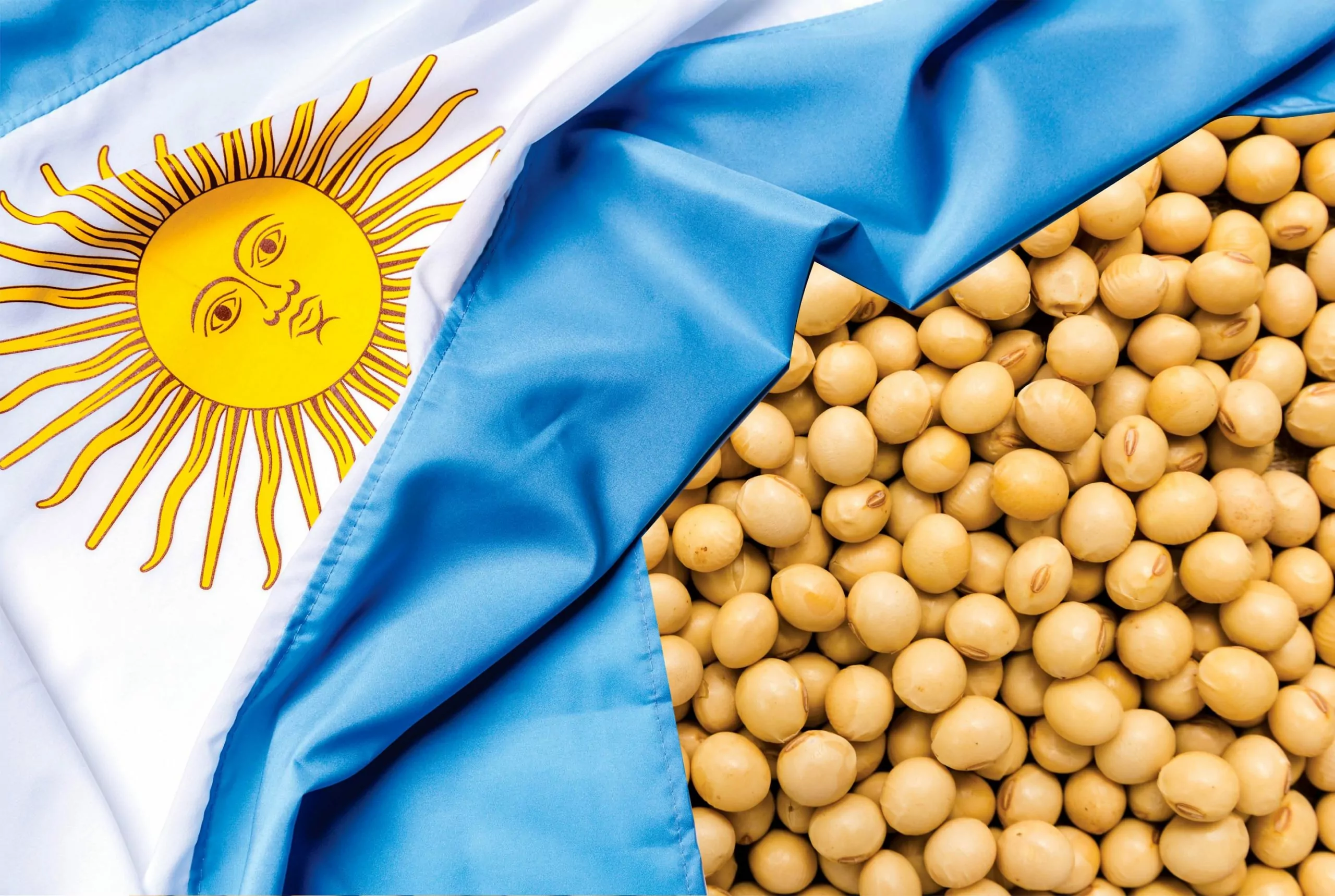انخفاض محصول فول الصويا في الأرجنتين عند 21 مليون طن مع اقتراب انتهاء الحصاد