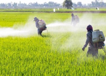 المبيدات الحشرية