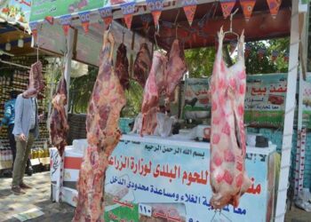 أسعار اللحوم بالمنافذ مخفضة بنسبة تتراوح بين 30 و 40% عن مثيلاتها بالأسواق الحرة