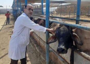 الزراعة: إعطاء أكثر من 2.4 مليون جرعة ضد مرضى الحمي القلاعية والوادي المتصدع