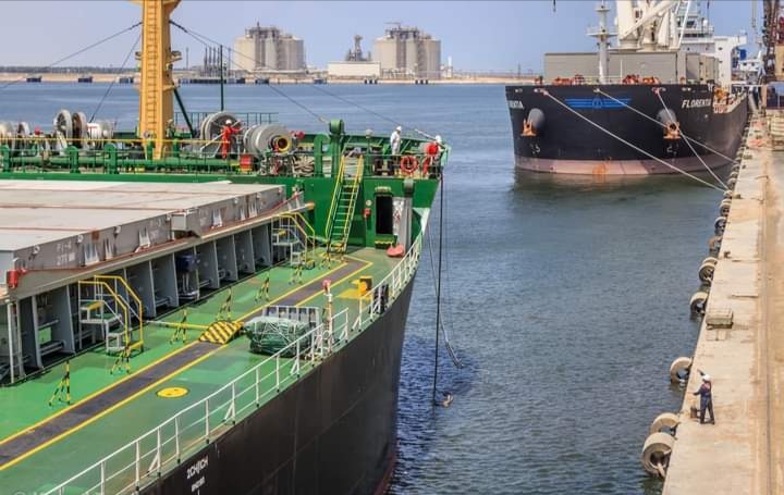 ميناء دمياط يستقبل 4369 طن ذرة و 139 رأس ماشية خلال 24 ساعة