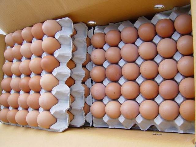 أسعار البيض اليوم الإثنين بالمزرعة.. والبلدي يسجل 117 جنيها للطبق