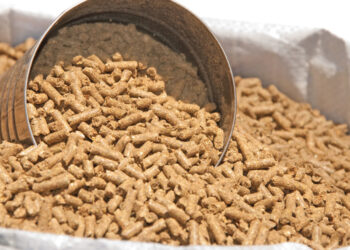 خاص| هل وصلت أسعار الخامات والأعلاف للحد الأدنى.. مصطفى الشريف يوضح!