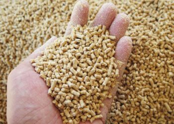 خاص| المؤمن للأعلاف: تآكل رأس المال يمثل أهم التحديات التي تواجه القطاع حاليا