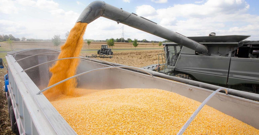 زيلينسكي يؤكد استعداد أوكرانيا لمواصلة الصادرات رغم انسحاب روسيا من صفقة الحبوب