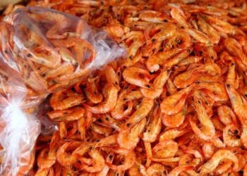 واردات مصر من الجمبري تسجل 9.2 مليون دولار خلال الأربعة أشهر الأولى من 2023