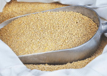 خاص| العدل للأعلاف: التكلفة الانتاجية أصبحت مرتفعة للغاية علي المربي