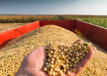 "الزراعة" تصدر تقرير بشأن الإجراءات الاستباقية لزيادة مساحات إنتاج الأعلاف والزيوت