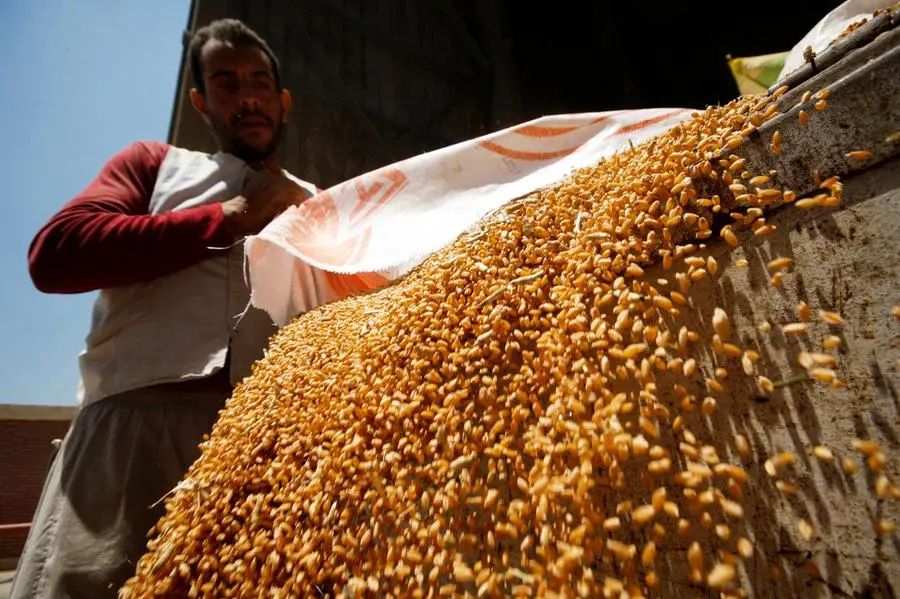 الإحصاء: ارتفاع واردات مصر من الذرة لتسجل 249,3 مليون دولار خلال أبريل 2023