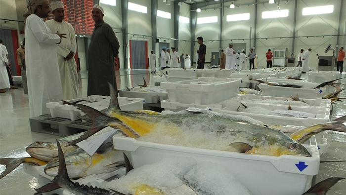صادرات الأسماك العمانية تسجل 140 مليون ريال في 2022